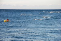 /album/fitnesssporttriatlon/dsc-0039-1-jpg/