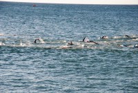 /album/fitnesssporttriatlon/dsc-0044-1-jpg/